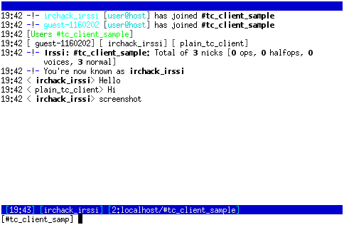 irssi as UI using irchack